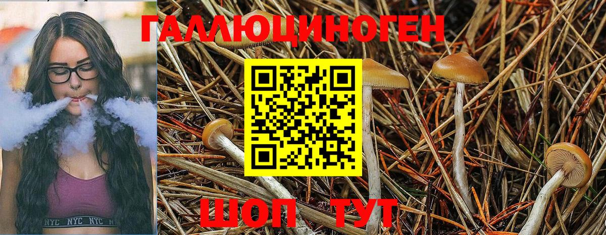 Псилоцибиновые грибы MAGIC MUSHROOMS  Псилоцибиновые грибы Psilocybe  Вход с VPN  Мыски 